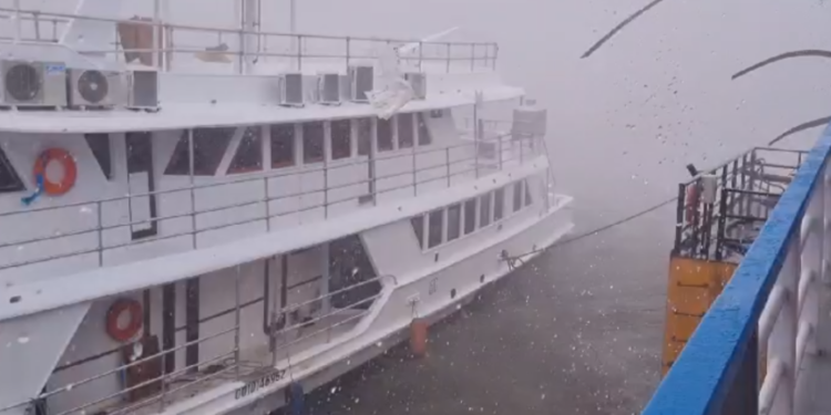 Prefeitura registrou 26 ocorrências durante a chuva; barco tombou no Tarumã-Açu
