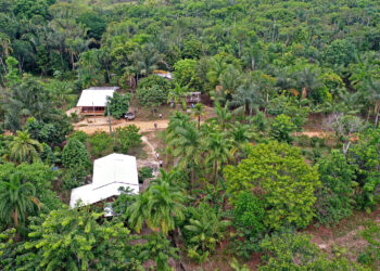 Povo Apurinã transforma 41,6 hectares em agrofloresta