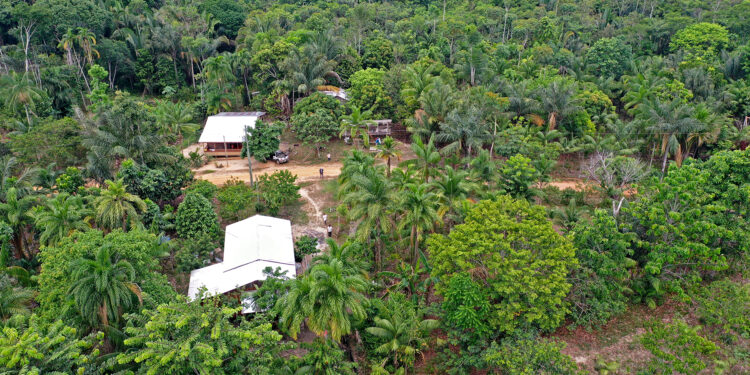 Povo Apurinã transforma 41,6 hectares em agrofloresta