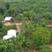 Povo Apurinã transforma 41,6 hectares em agrofloresta