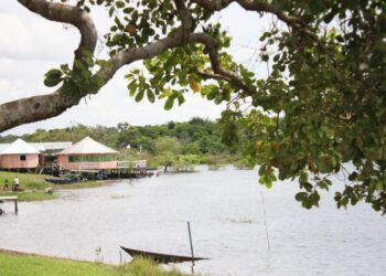 No AM, Polícia Civil prende guia de turismo suspeito de roubo a hóspedes e funcionários de hotel de selva   