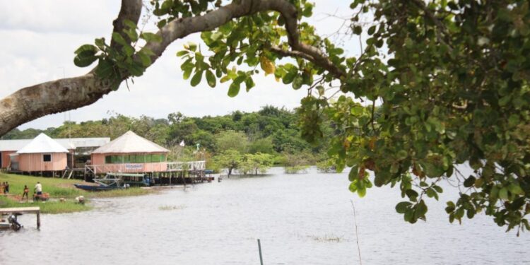 No AM, Polícia Civil prende guia de turismo suspeito de roubo a hóspedes e funcionários de hotel de selva   