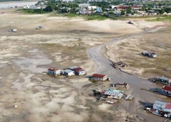 Governador decreta emergência ambiental em cidades do Sul do Amazonas