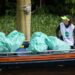 Em celebração ao Dia da Amazônia, Pacto Global da ONU e Remada Ambiental realizam edição especial de mutirão de limpeza na Marina do Davi