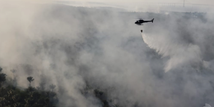 Marinha combate queimada em área de floresta do Cacau Pirêra, em Iranduba