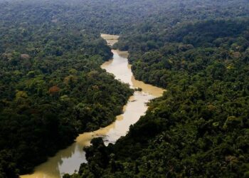 Área usada pelo garimpo ilegal aumenta em 35 mil hectares, diz estudo