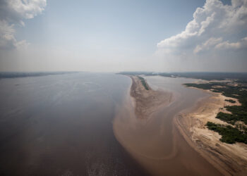 Estiagem: Estado e Governo Federal vão mapear situação da fauna nos rios do Amazonas 