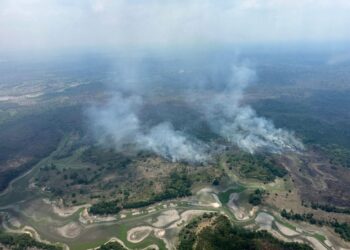 Polícia Federal investiga queimadas na região de Autazes