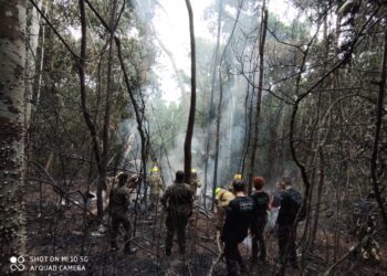 Polícia científica do Acre coleta DNA de familiares para identificar vítimas de queda de avião