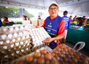 Feiras de Produtos Regionais da ADS funcionam até quarta e voltam no sábado, nesta semana 
