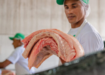 Feira do Pirarucu realiza venda de 5,2 toneladas de pescado fresco e sustentável
