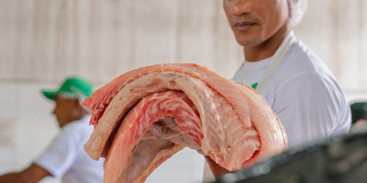 Feira do Pirarucu realiza venda de 5,2 toneladas de pescado fresco e sustentável