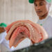 Feira do Pirarucu realiza venda de 5,2 toneladas de pescado fresco e sustentável