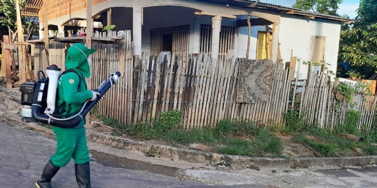 Dengue: Saúde divulga cenário da doença no Amazonas