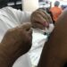 Covid-19: Saúde do Amazonas divulga painel semanal de vacinação