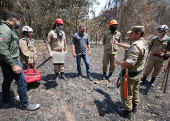 Governador diz que foram combatidos quase 2 mil incêndios no Amazonas