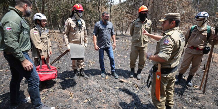 Governador diz que foram combatidos quase 2 mil incêndios no Amazonas