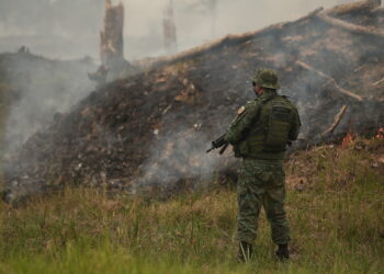 No Amazonas, PM detém 83 pessoas em ações da força-tarefa contra crimes ambientais