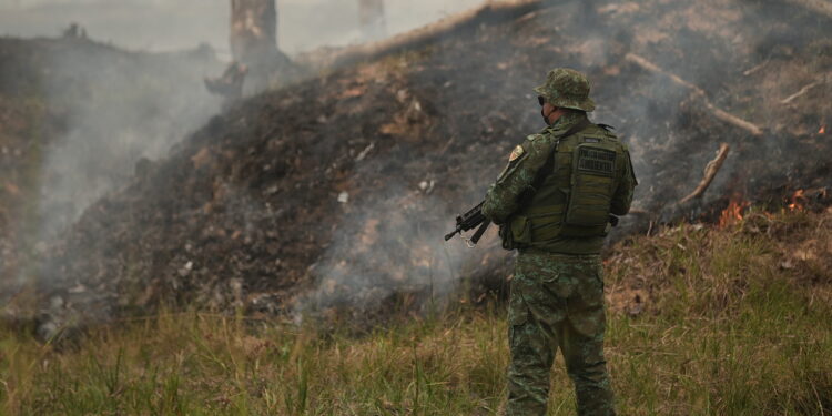 No Amazonas, PM detém 83 pessoas em ações da força-tarefa contra crimes ambientais