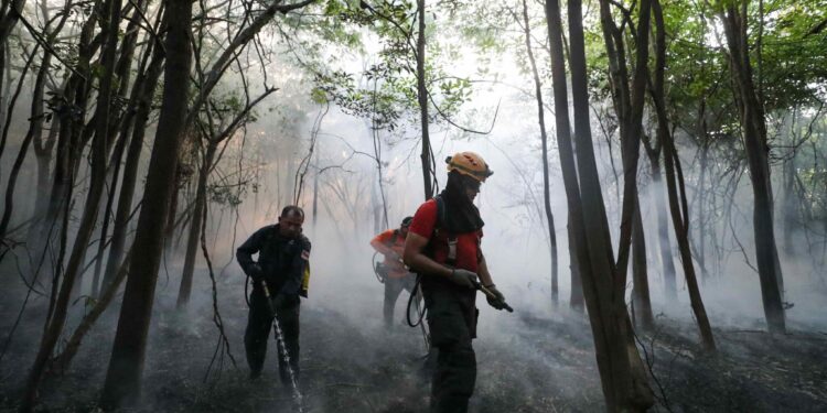 Queimadas: Governador do AM diz que houve redução de focos de calor na Região Metropolitana de Manaus