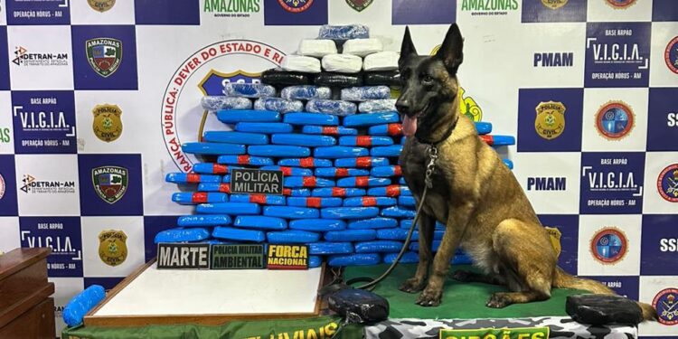 Polícia apreende mais de 100 kg drogas dentro de boia no piso de embarcação, em Coari
