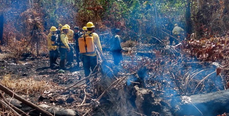 Ibama diz que irá enviar mais brigadistas para combater os incêndios florestais no AM
