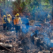 Ibama diz que irá enviar mais brigadistas para combater os incêndios florestais no AM
