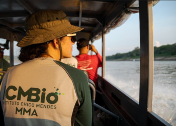 ICMBio envia a Tefé equipes para resgatar botos e identificar causas de mortes