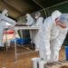ICMBio instala comando de incidentes para resgatar botos e identificar causas de mortes no AM