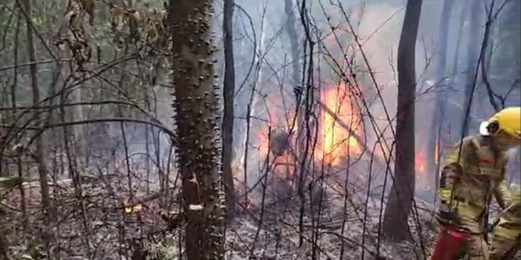 Avião cai e explode em Rio Branco; aeronave iria para Envira