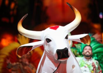 Boi Garantido lança tema para a temporada 2024