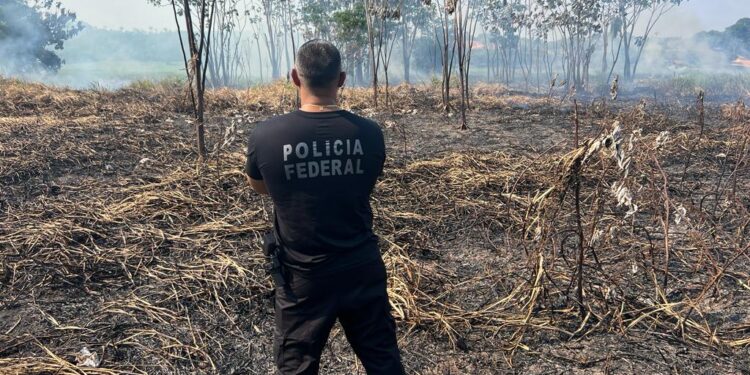 PF prende em flagrante homens por prática de queimada ilegal em Iramduba