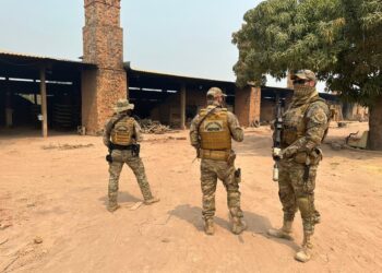 PF realiza operação contra queimada ilegal no Amazonas e interdita olaria