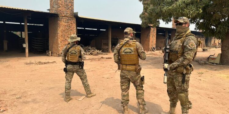 PF realiza operação contra queimada ilegal no Amazonas e interdita olaria