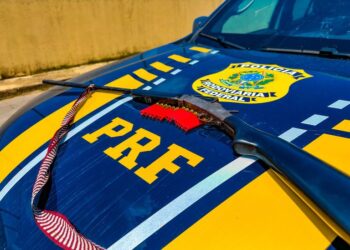 PRF encerra operação para combater trabalho análogo à escravidão no Amazonas
