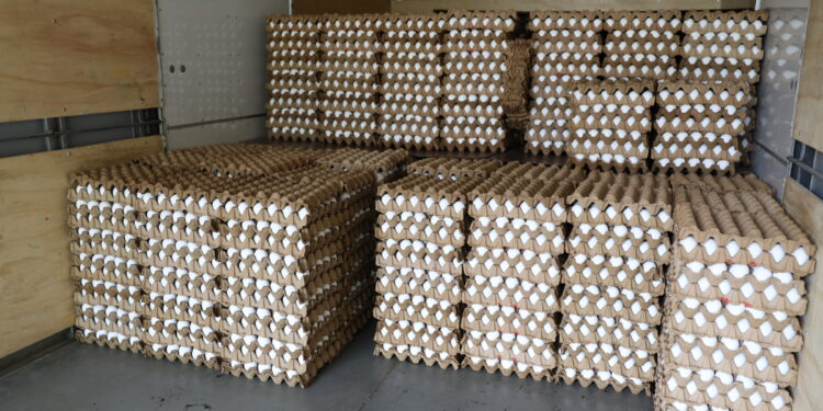 Adaf apreende carga irregular de ovos e flagra transporte inadequado de agrotóxicos na rodovia AM-010
