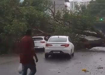 Manaus registra 8 ocorrências provocadas pela chuva nesta segunda-feira (27/11)