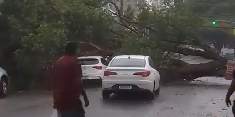 Manaus registra 8 ocorrências provocadas pela chuva nesta segunda-feira (27/11)