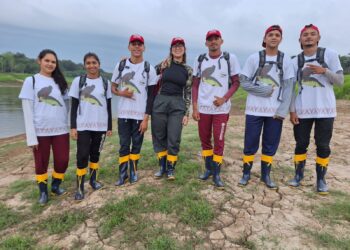 Jovens participam da rastreabilidade do pirarucu selvagem no Médio Juruá