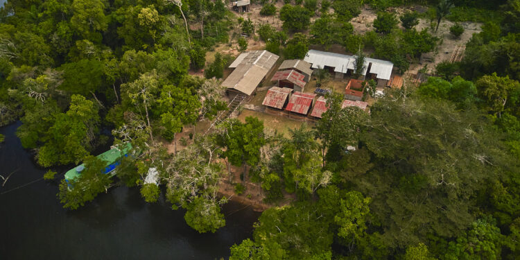 Única representante do Brasil, FAS, concorre a prêmio de sustentabilidade na COP28