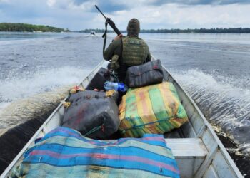 Polícias Militar e Federal apreendem cerca de 600 quilos de entorpecentes no Amazonas