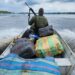 Polícias Militar e Federal apreendem cerca de 600 quilos de entorpecentes no Amazonas