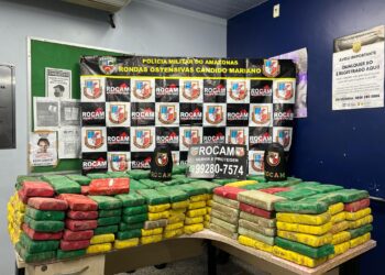 Polícia Militar apreende cerca de 285 quilos de cocaína e detém homem em Manaus