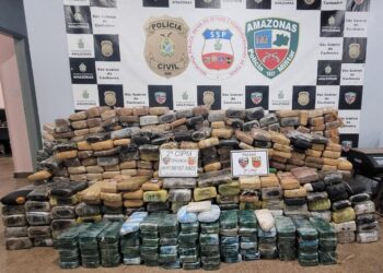 No Amazonas, PM apreende 836 quilos de entorpecentes, em São Gabriel da Cachoeira