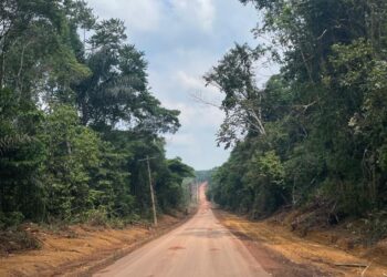 Governo do Amazonas inicia pavimentação dos ramais do Acajatuba e Terra Preta, em Manacapuru