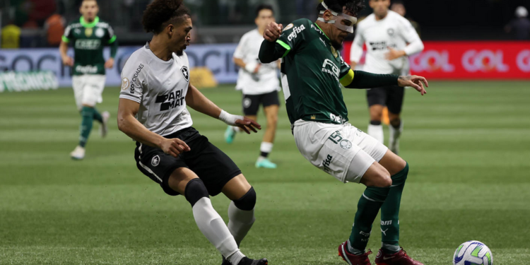 Tentando retomar caminho das vitórias, líder Botafogo recebe Palmeiras; onde assistir