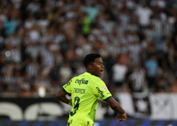 Palmeiras arranca vitória sobre Botafogo e deixa Brasileiro aberto