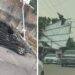 Chuva causa prejuízos em Manaus e Amazonas Energia registra mais de 600 ocorrências emergenciais