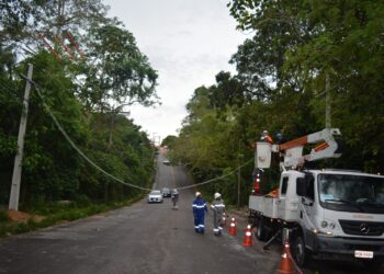 Amazonas Energia entrega mais duas passarelas para sauins-de-coleira