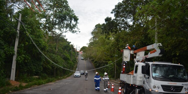 Amazonas Energia entrega mais duas passarelas para sauins-de-coleira
